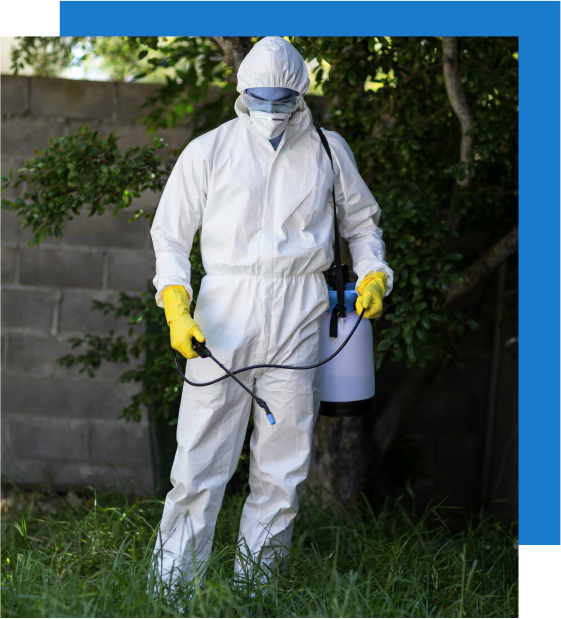 mosquito-pest-control-salisbury (1) Salisbury's Premium Pest Control|About Us